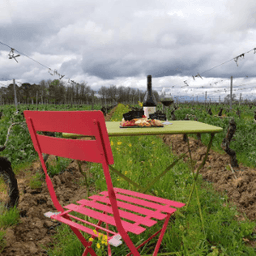 Château de Belaygues Château de Belaygues #2