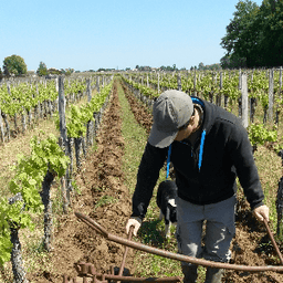 Château Les Margagnis Château Les Margagnis #4