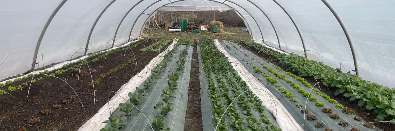 Bannière de Les Jardins des Capellas