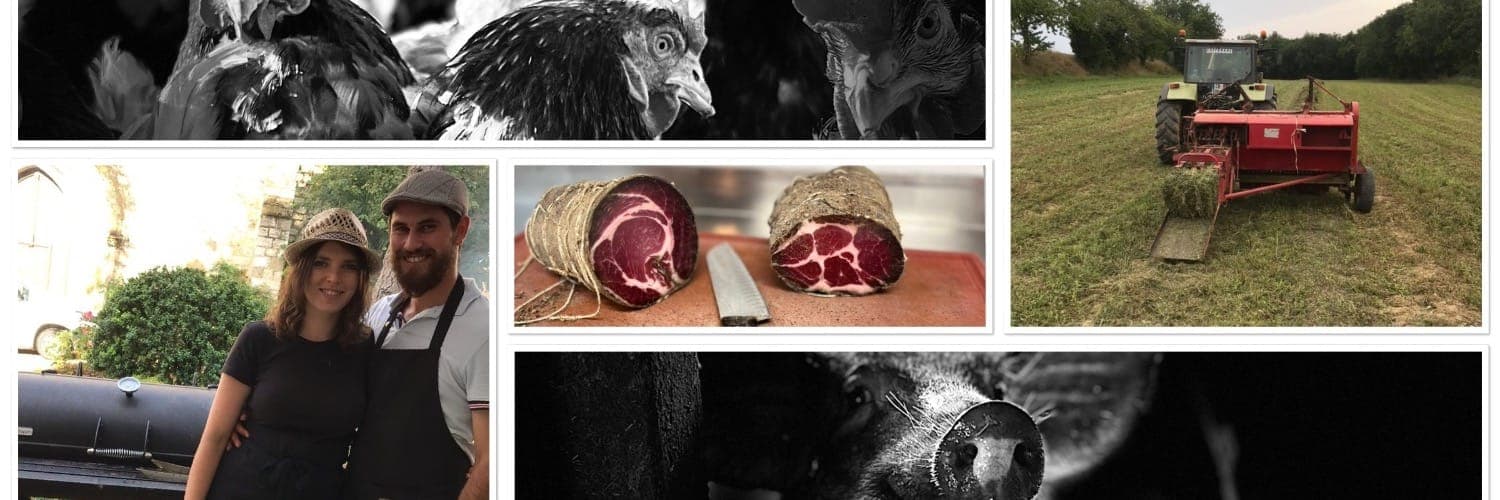 Bannière de Les oeufs du Picart