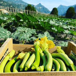 La Ferme des Trois Vallées La Ferme des Trois Vallées #3