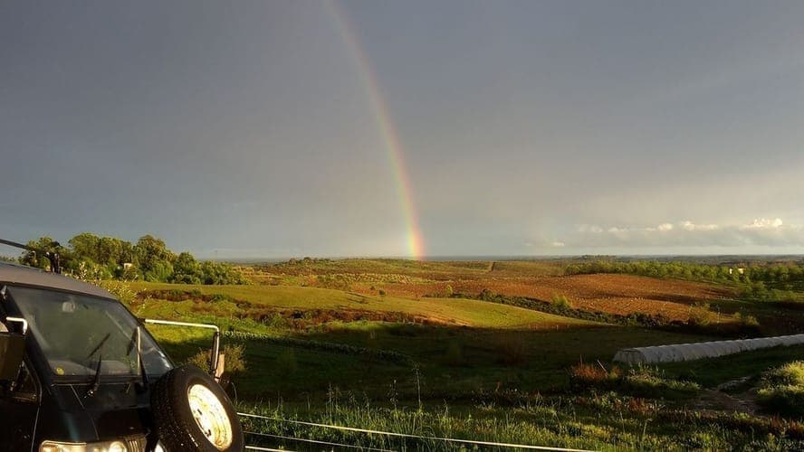 Bannière de Solo Bio