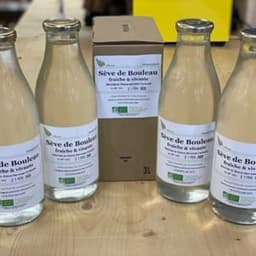 Tête d'Ortie Tête d'Ortie #5