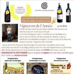 Château de Belaygues Château de Belaygues #4