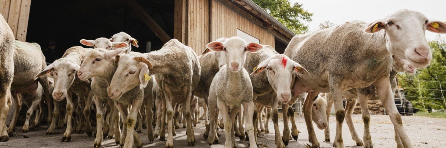 Bannière de la ferme des passerelles
