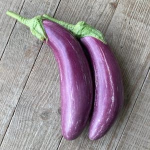Aubergine