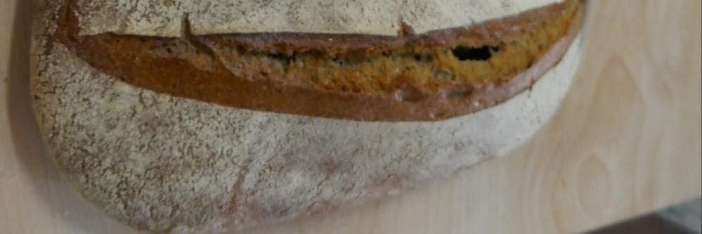 Bannière de La Grille Pain