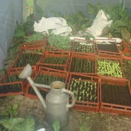 Patricia Simonin Patricia Simonin #3