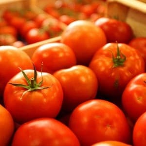 Tomates