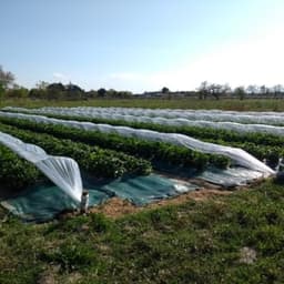 Les Jardins Des Brouillards Les Jardins Des Brouillards #5