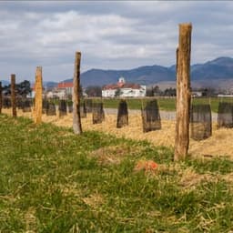 Eric GRANVEAUX Eric GRANVEAUX #8