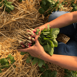 Ferme CHAMP LIBRE Ferme CHAMP LIBRE #0