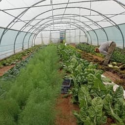 La Grange du Serayol La Grange du Serayol #5