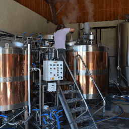 BRASSERIE NATURAL MYSTICK BRASSERIE NATURAL MYSTICK #8