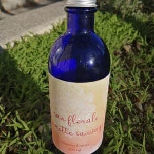 Eau de Carotte sauvage