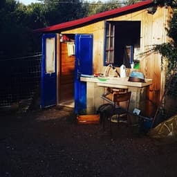 Solo Bio Solo Bio #6