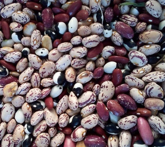 Bannière de La Terrienne