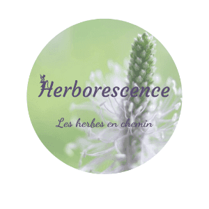 Logo de Herborescence - Chateau-Thébaud - Paysans du Vignoble
