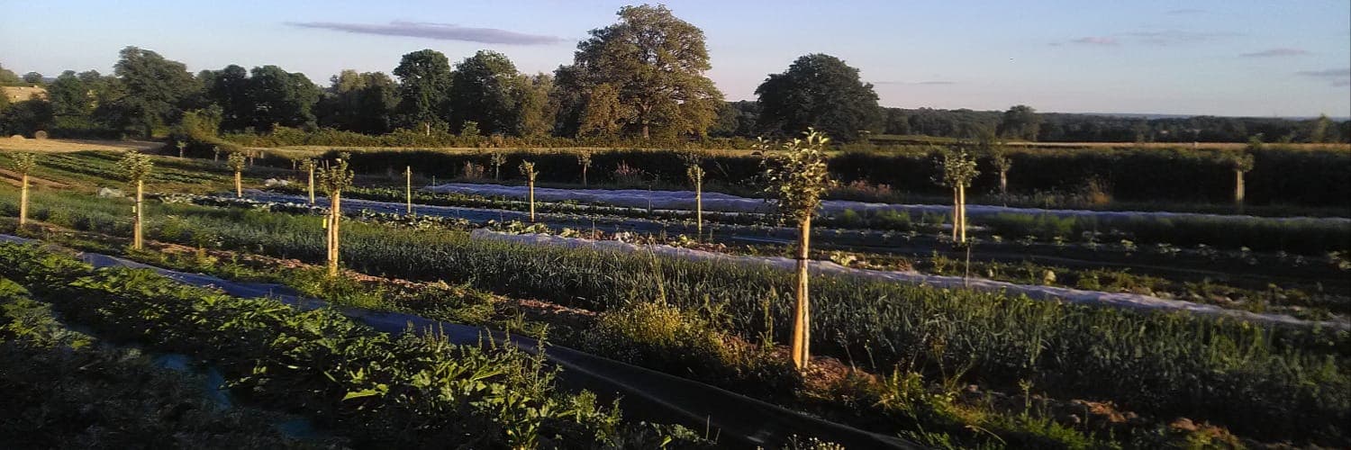 Bannière de Les Jardins de Longecourt