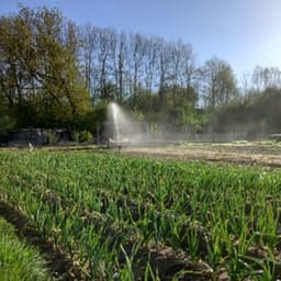 LES JARDINS DE BLANDINE LES JARDINS DE BLANDINE #3