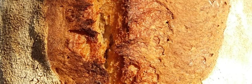 Bannière de Alexis MEYER