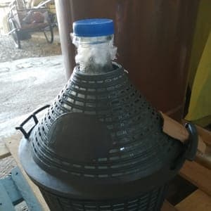 Eau de Carotte sauvage au litre