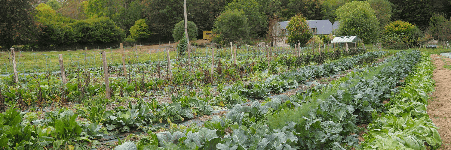 Bannière de GAEC Ferme du Pibeste