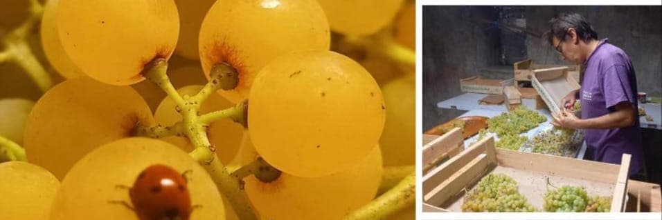 Bannière de ducos fabienne