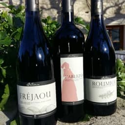 MAS BAUDIN MAS BAUDIN #8