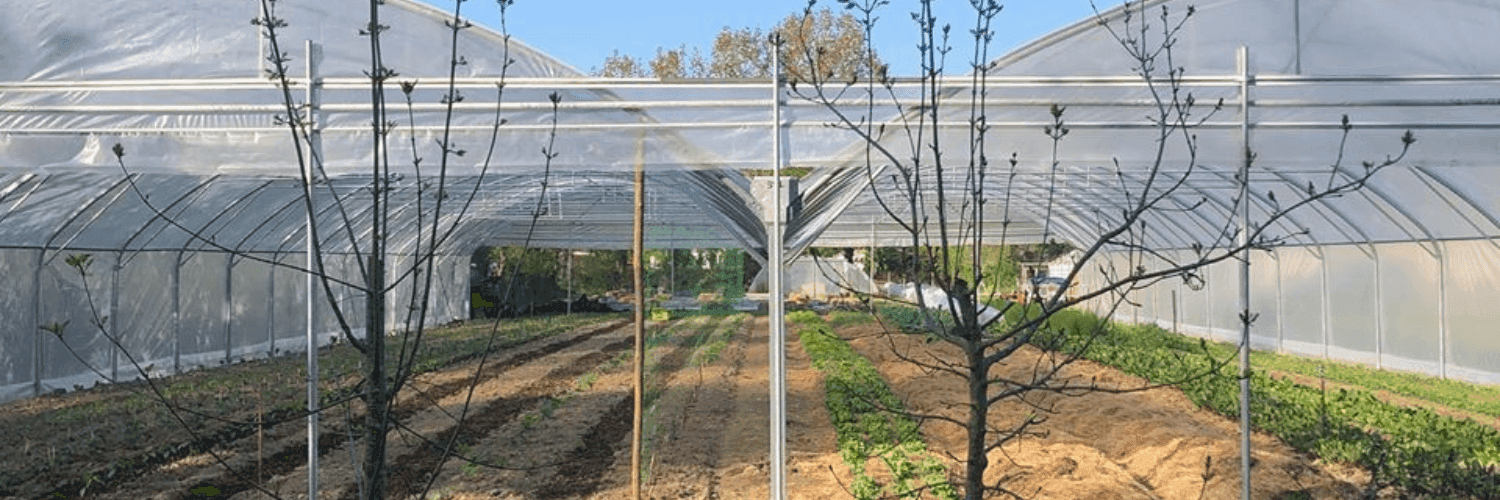 Bannière de Le Potager Sauvage