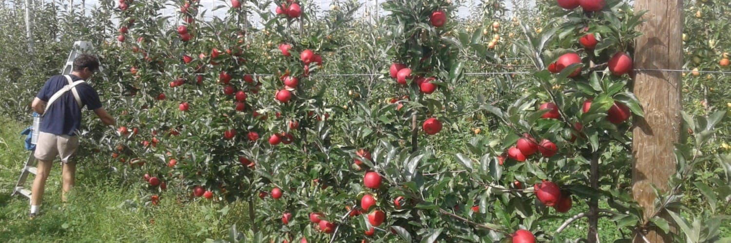 Bannière de EARL FRUITS DE MAUMONT
