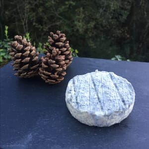 Palet Cendré Fermier