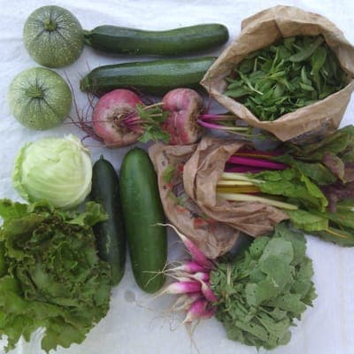 Logo de Le Potager De Versailles - Vente chez le maraîcher