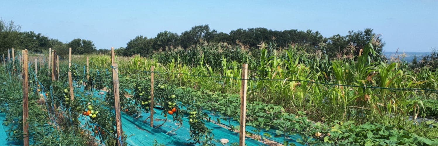 Bannière de Le Jardin des Faunes