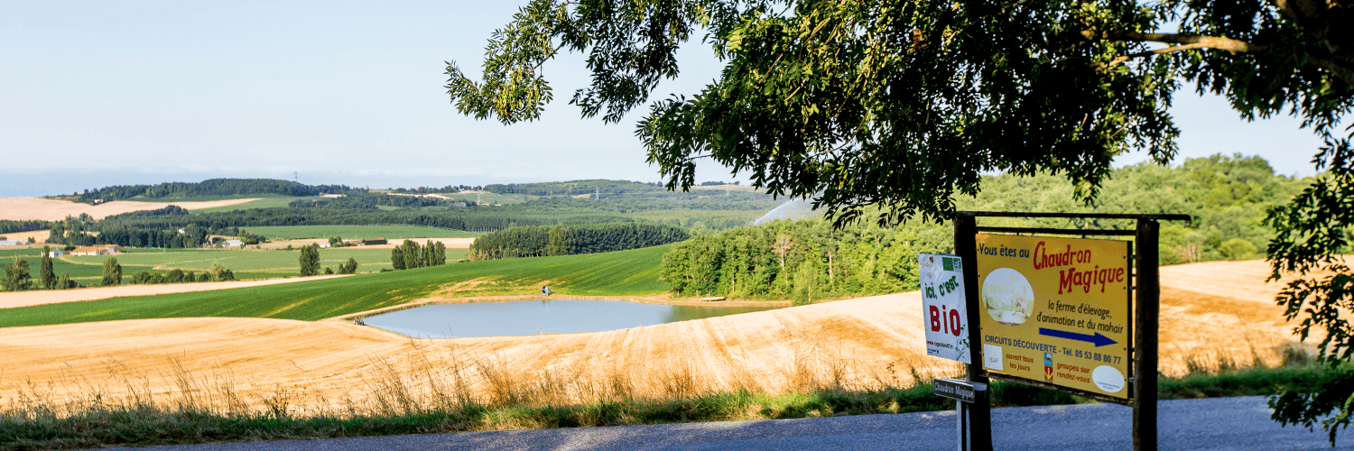 Bannière de SARL Le chaudron magique