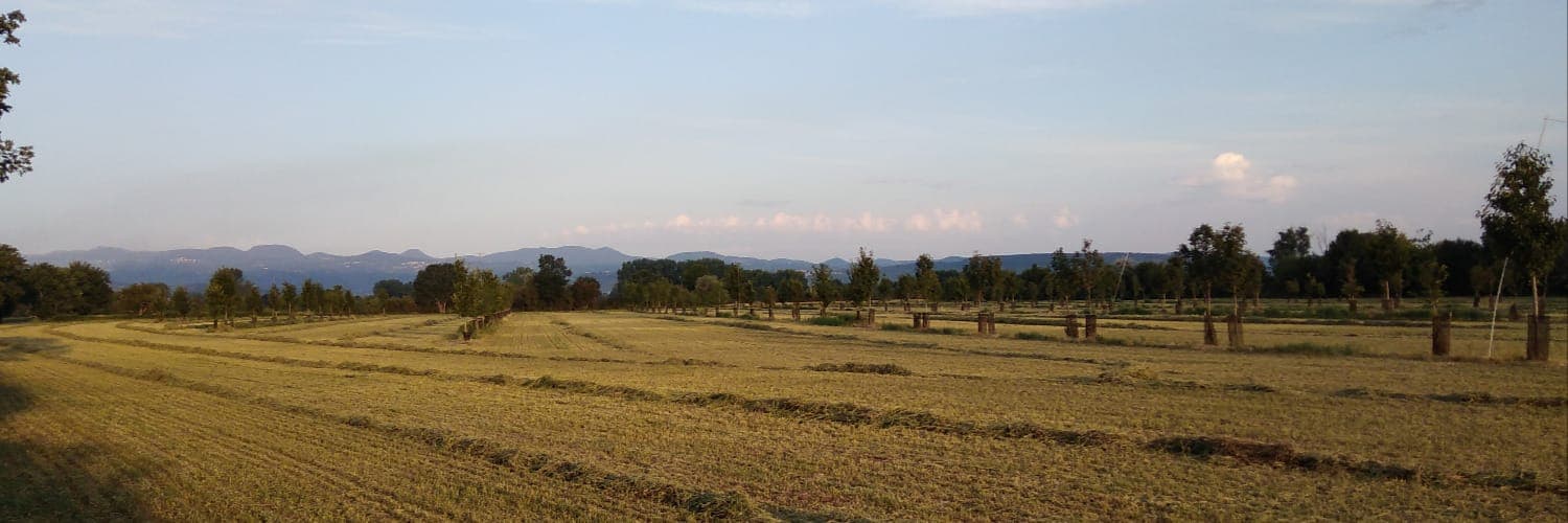 Bannière de La Ferme des Raux