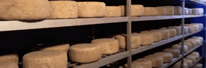 Bannière de La Ferme du Bergons