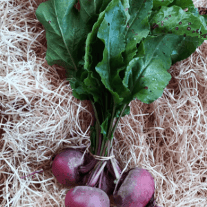 Betterave Rouge