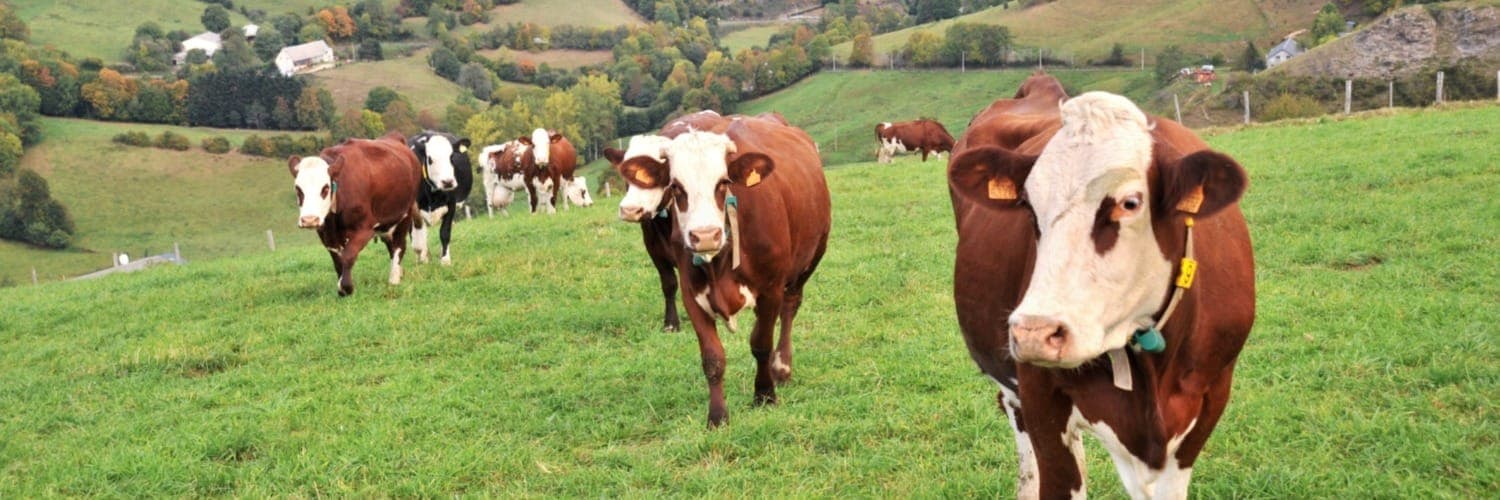 Bannière de GAEC des Planchettes