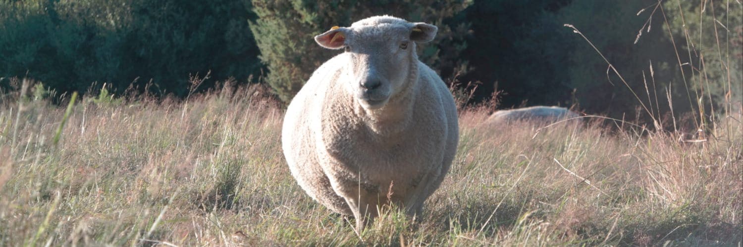 Bannière de Le Pré Verger