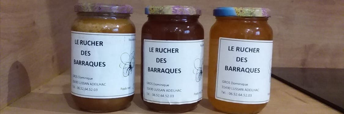 Bannière de Gros Dominique