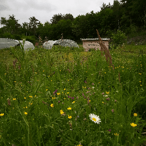 Les jardins du Moulin