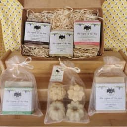 Des vignes et des ânes Des vignes et des ânes #8