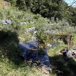 Les jardins du Moucherotte Les jardins du Moucherotte #4