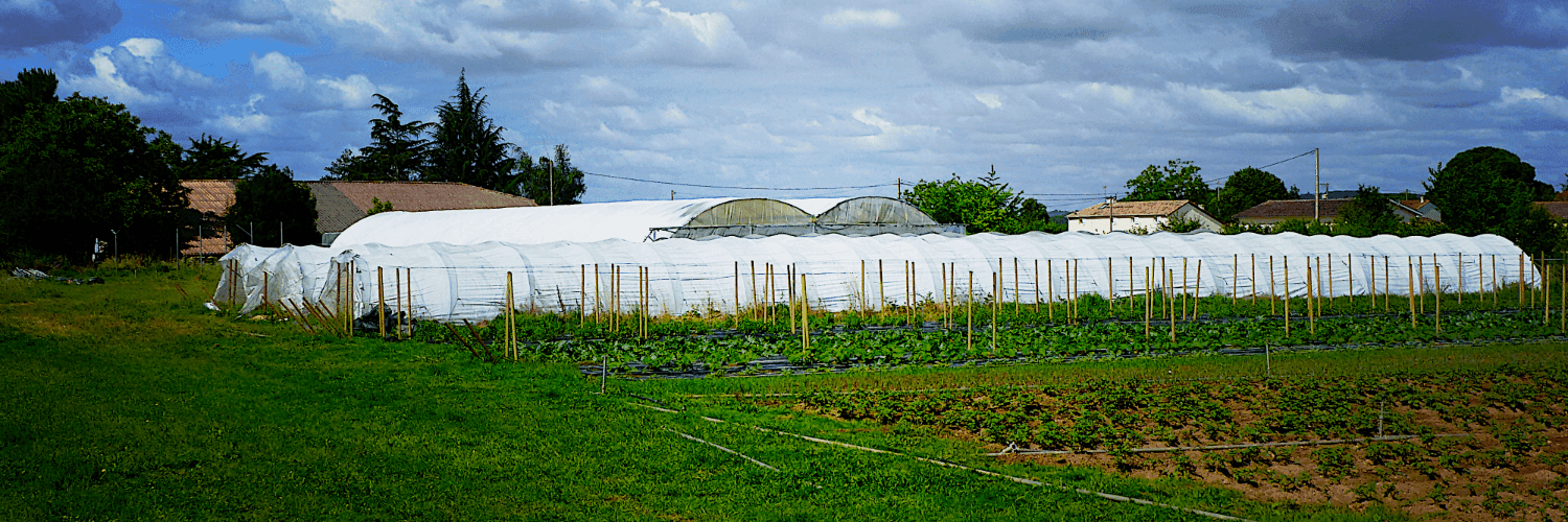 Bannière de La Ferme de Nicolas
