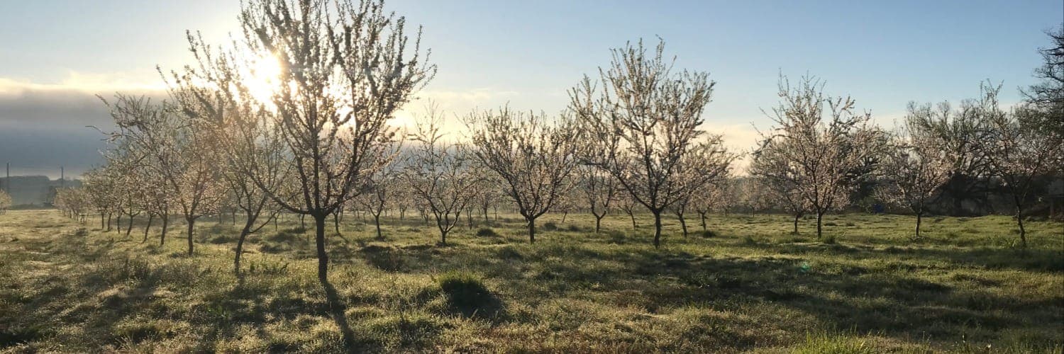 Bannière de Gaec Estebe
