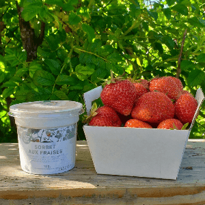 sorbet de fraises 12cl