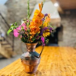 Sovaga  Fleurs et Plantes Sovaga  Fleurs et Plantes #2