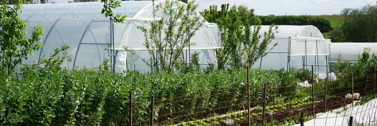 Bannière de Les Jardins de Bouet