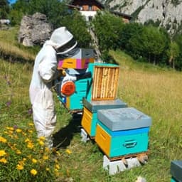 L'ABEILLE DU PIC L'ABEILLE DU PIC #0